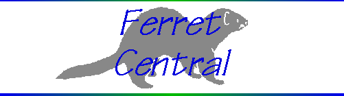 Ferret Central